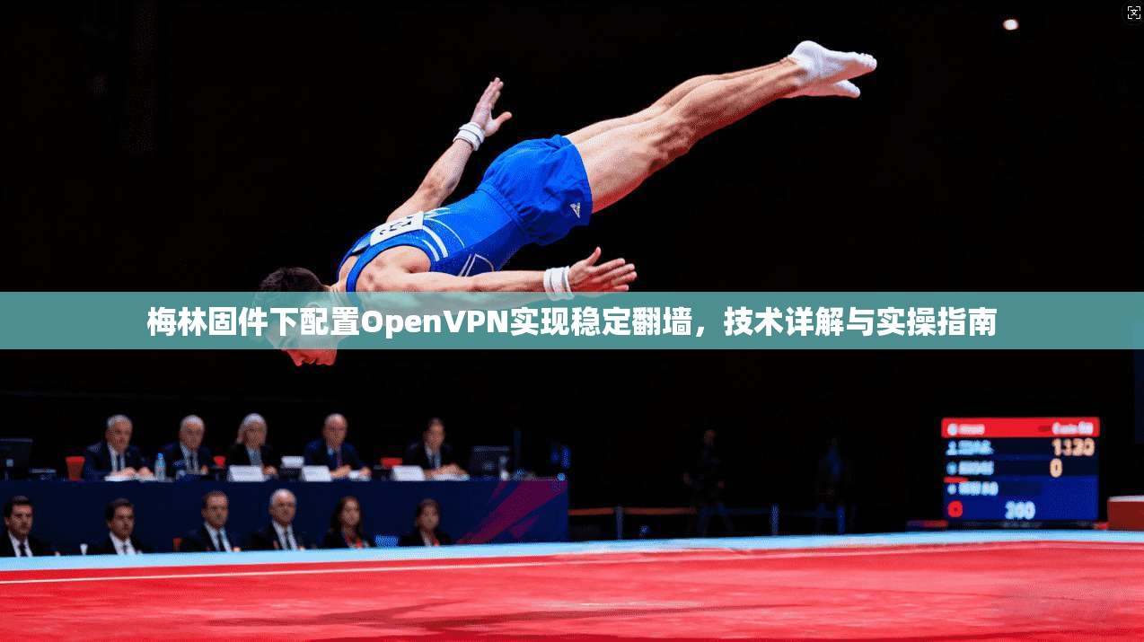 梅林固件下配置OpenVPN实现稳定翻墙，技术详解与实操指南