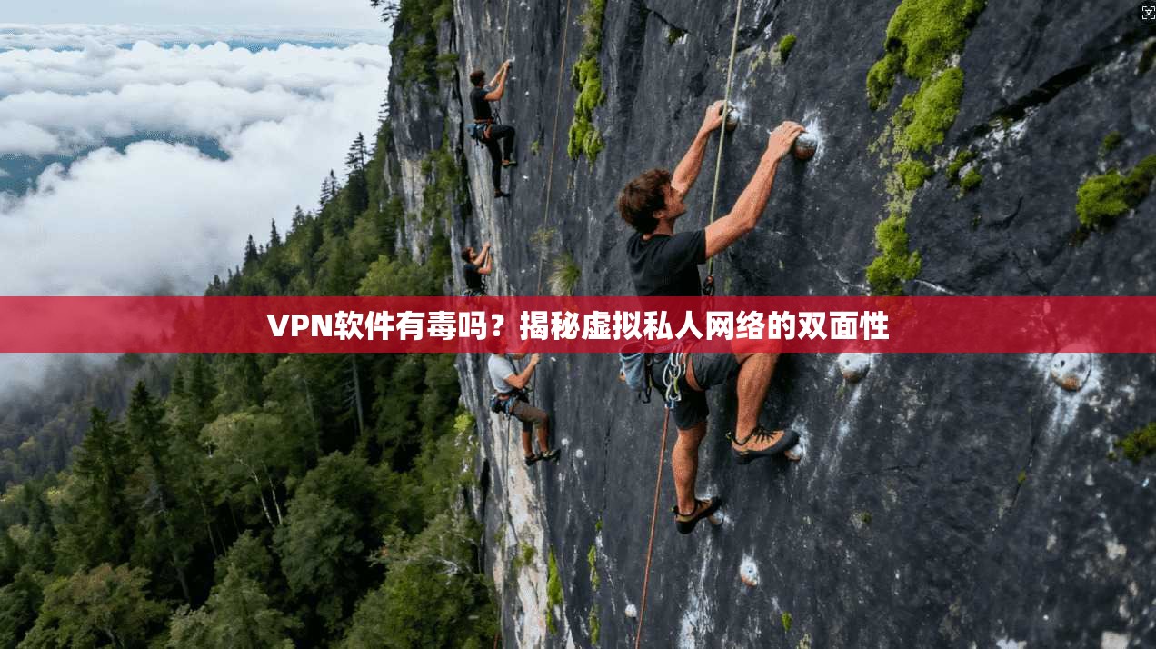 VPN软件有毒吗?揭秘虚拟私人网络的双面性