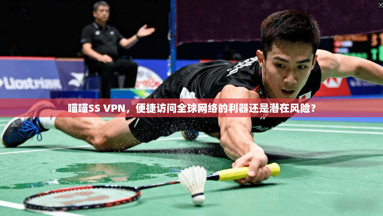 喵喵SS VPN，便捷访问全球网络的利器还是潜在风险？