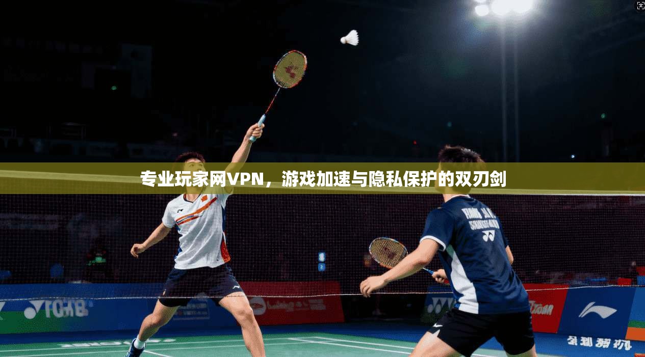 专业玩家网VPN，游戏加速与隐私保护的双刃剑