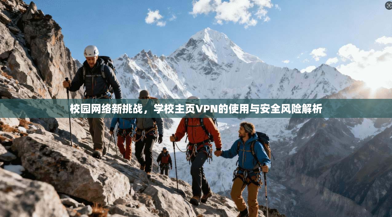 校园网络新挑战，学校主页VPN的使用与安全风险解析