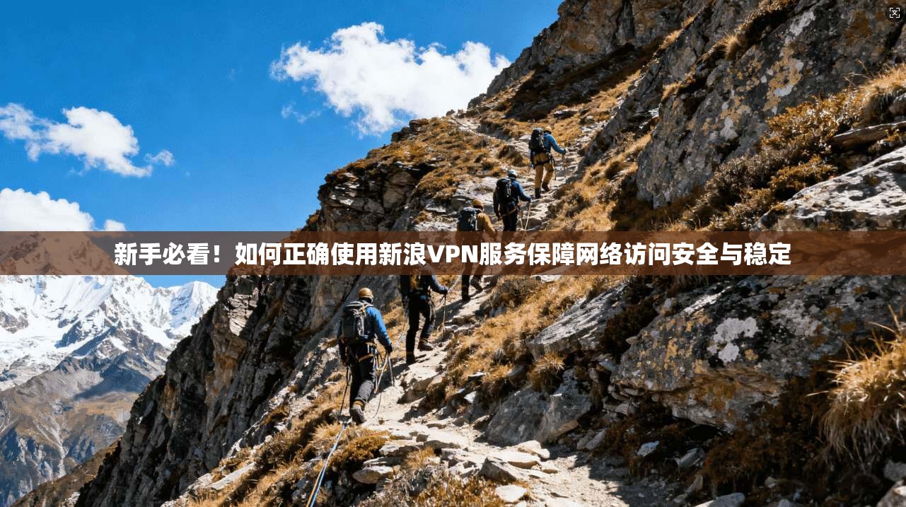 新手必看！如何正确使用新浪VPN服务保障网络访问安全与稳定