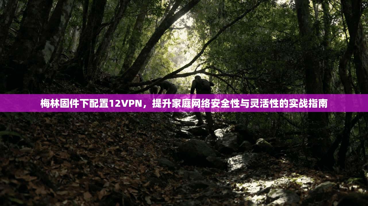 梅林固件下配置12VPN，提升家庭网络安全性与灵活性的实战指南