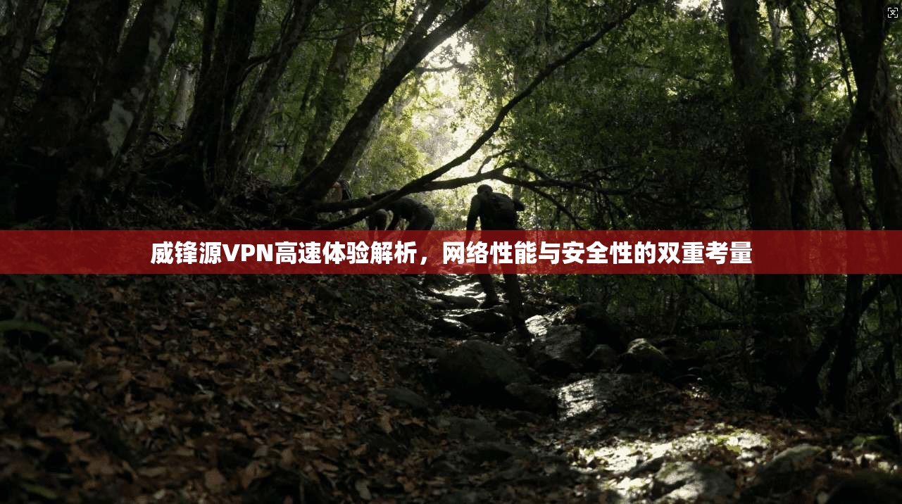 威锋源VPN高速体验解析，网络性能与安全性的双重考量