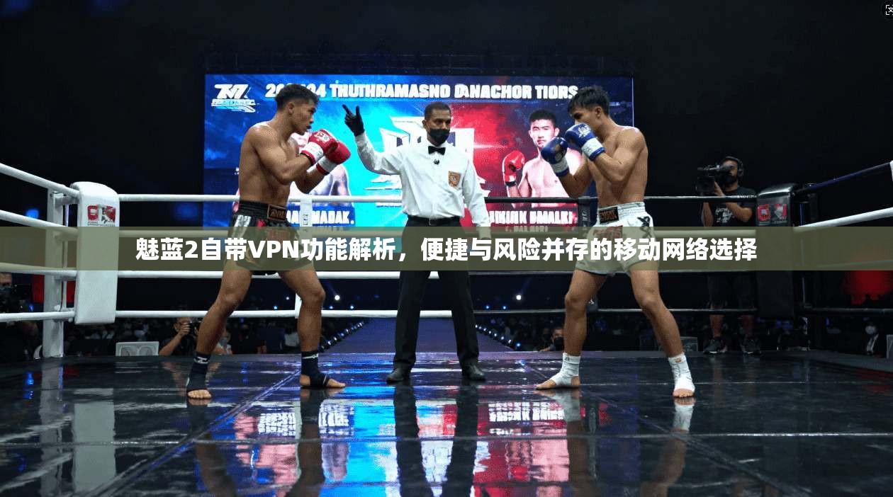 魅蓝2自带VPN功能解析，便捷与风险并存的移动网络选择