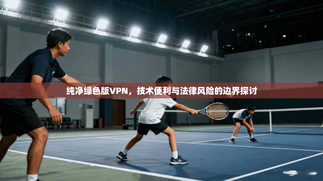 纯净绿色版VPN，技术便利与法律风险的边界探讨