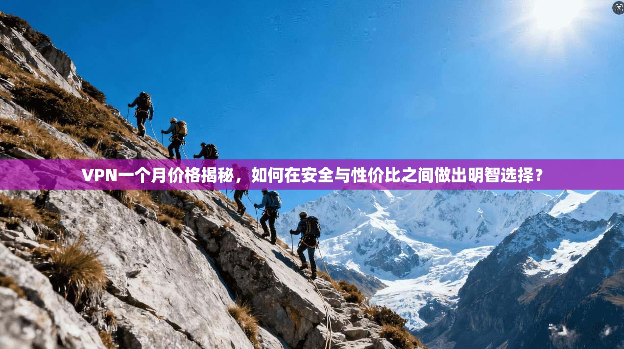 VPN一个月价格揭秘，如何在安全与性价比之间做出明智选择？
