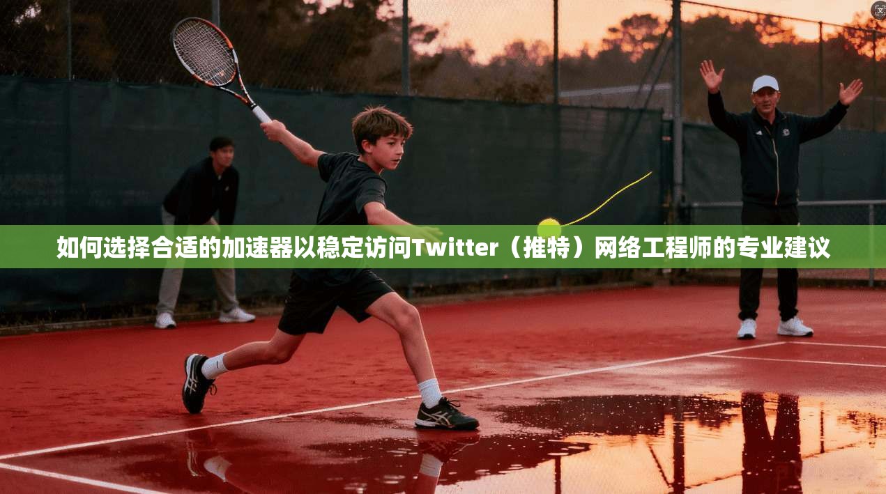 如何选择合适的加速器以稳定访问Twitter（推特）网络工程师的专业建议