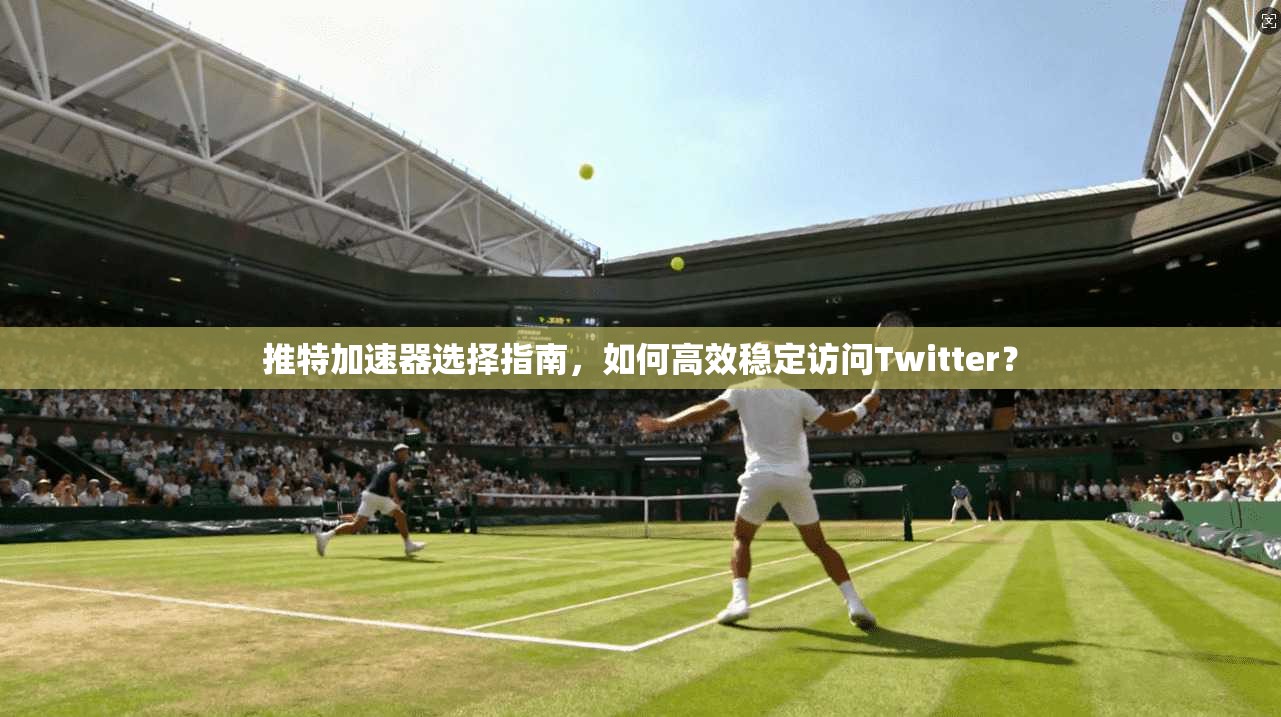 推特加速器选择指南，如何高效稳定访问Twitter？