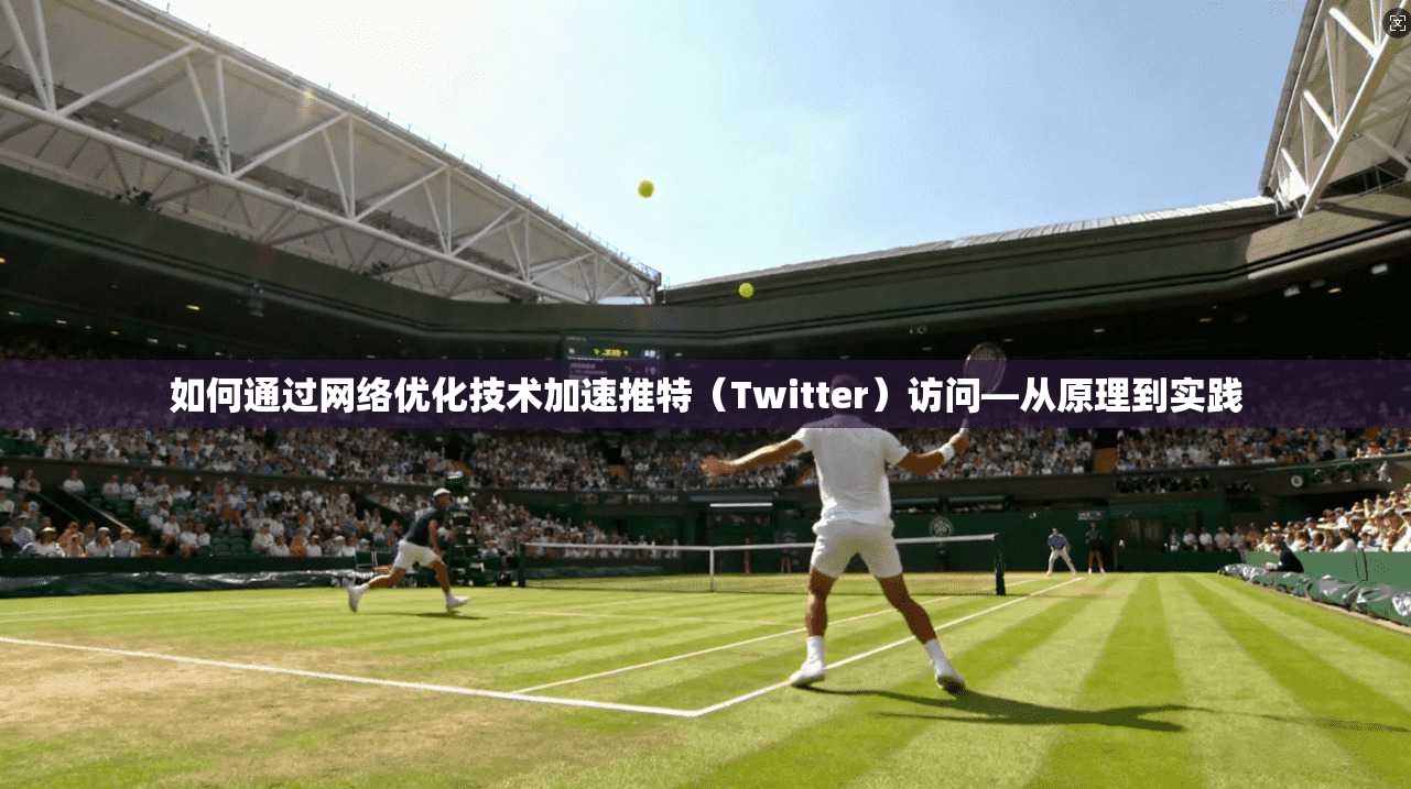如何通过网络优化技术加速推特（Twitter）访问—从原理到实践