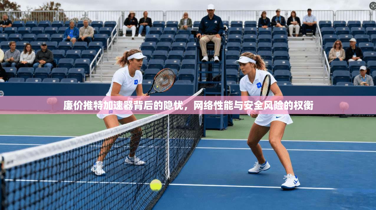 廉价推特加速器背后的隐忧，网络性能与安全风险的权衡