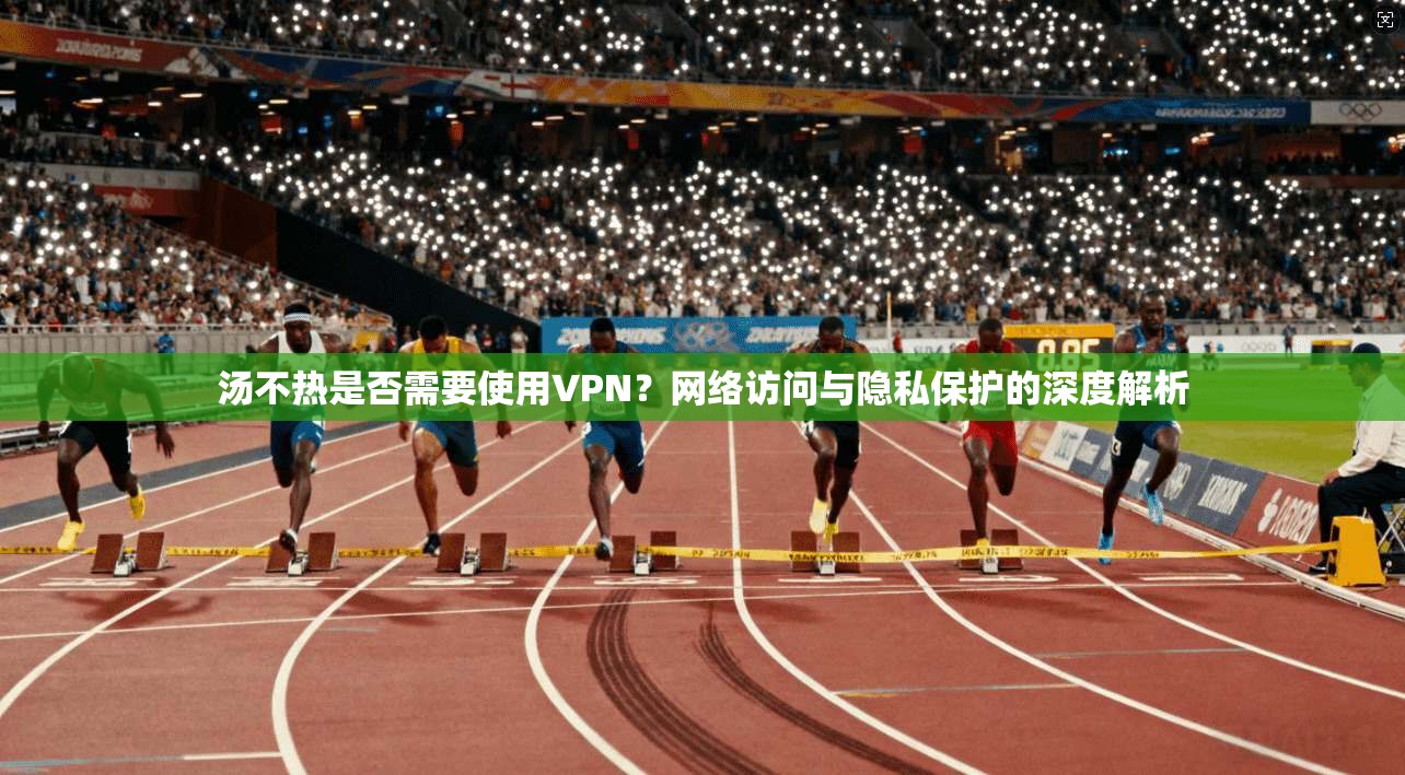 汤不热是否需要使用VPN？网络访问与隐私保护的深度解析