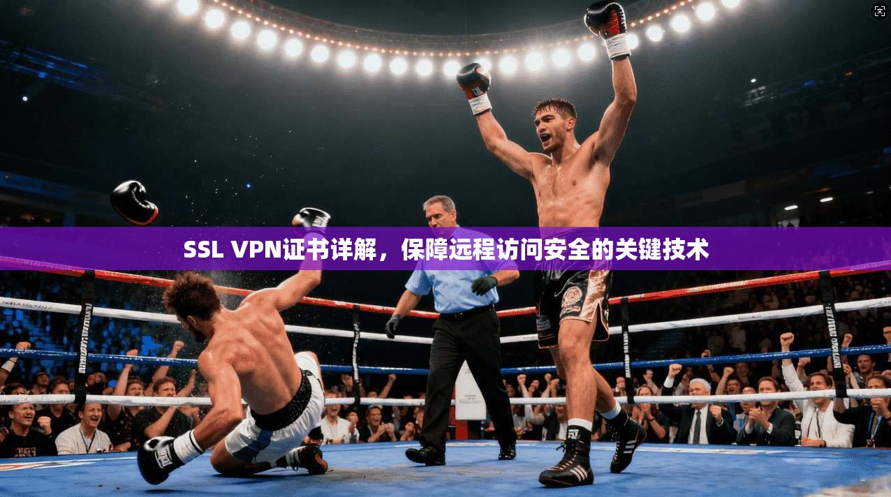 SSL VPN证书详解，保障远程访问安全的关键技术