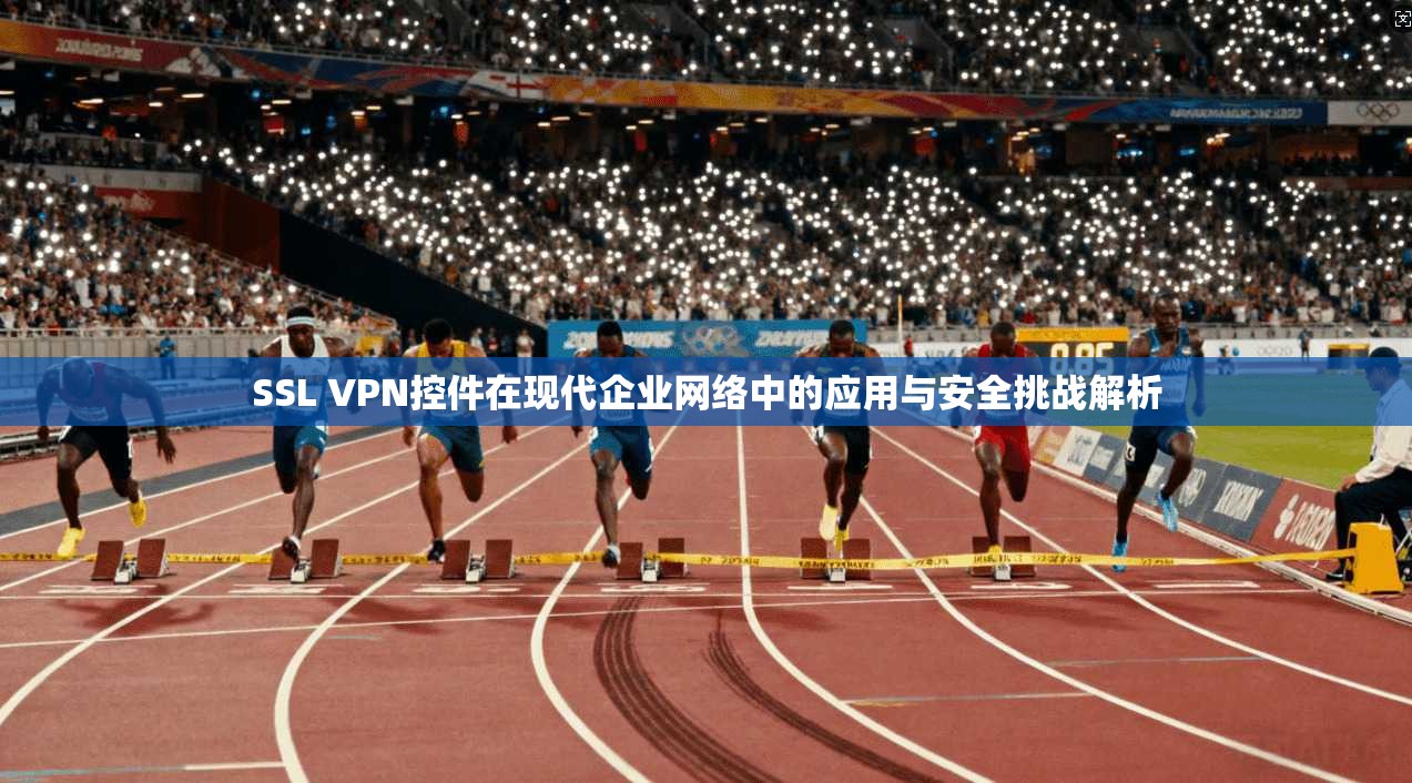 SSL VPN控件在现代企业网络中的应用与安全挑战解析