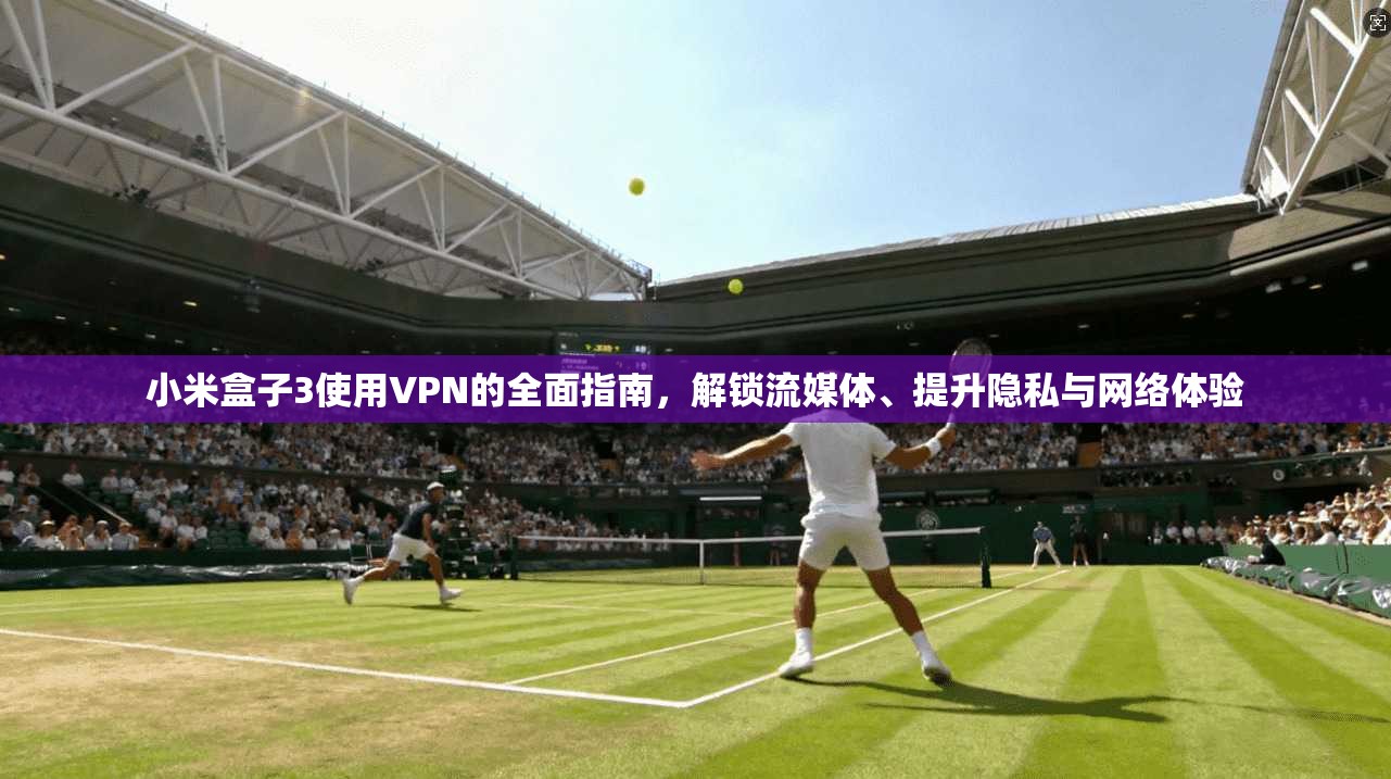 小米盒子3使用VPN的全面指南,解锁流媒体、提升隐私与网络体验