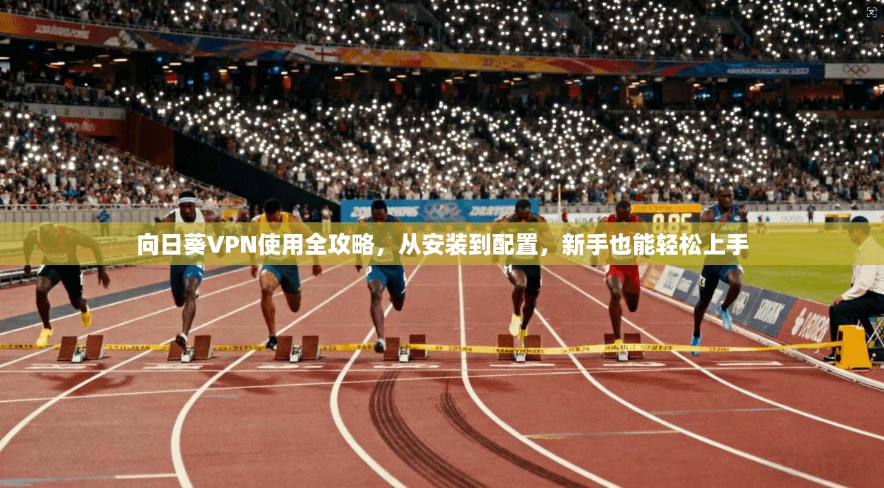 向日葵VPN使用全攻略，从安装到配置，新手也能轻松上手