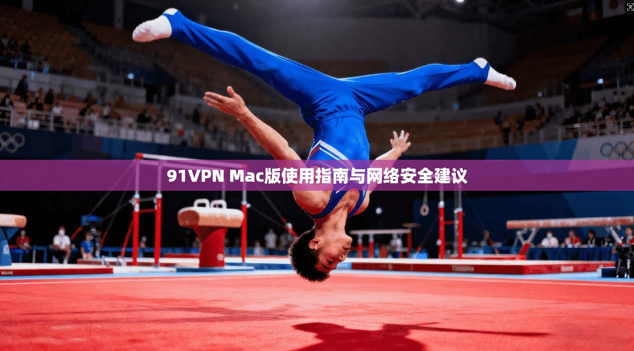 91VPN Mac版使用指南与网络安全建议