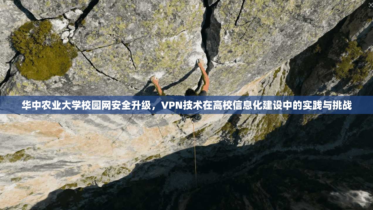 华中农业大学校园网安全升级，VPN技术在高校信息化建设中的实践与挑战