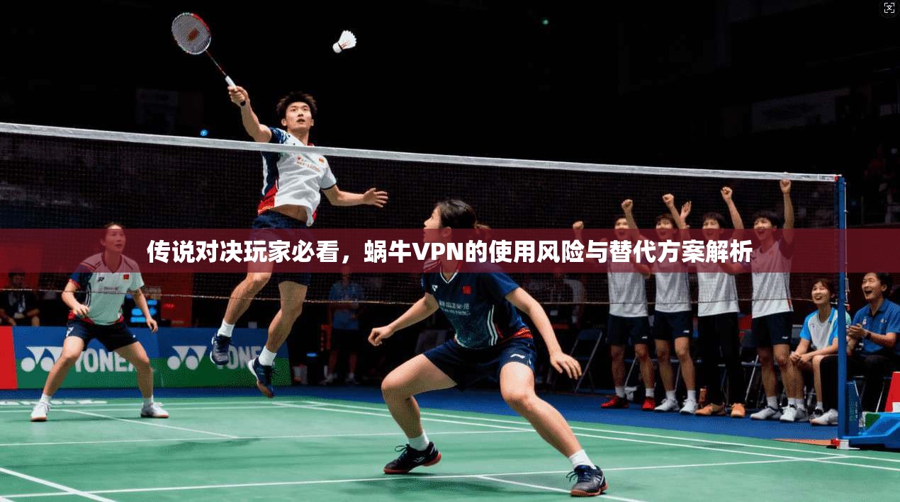 传说对决玩家必看，蜗牛VPN的使用风险与替代方案解析