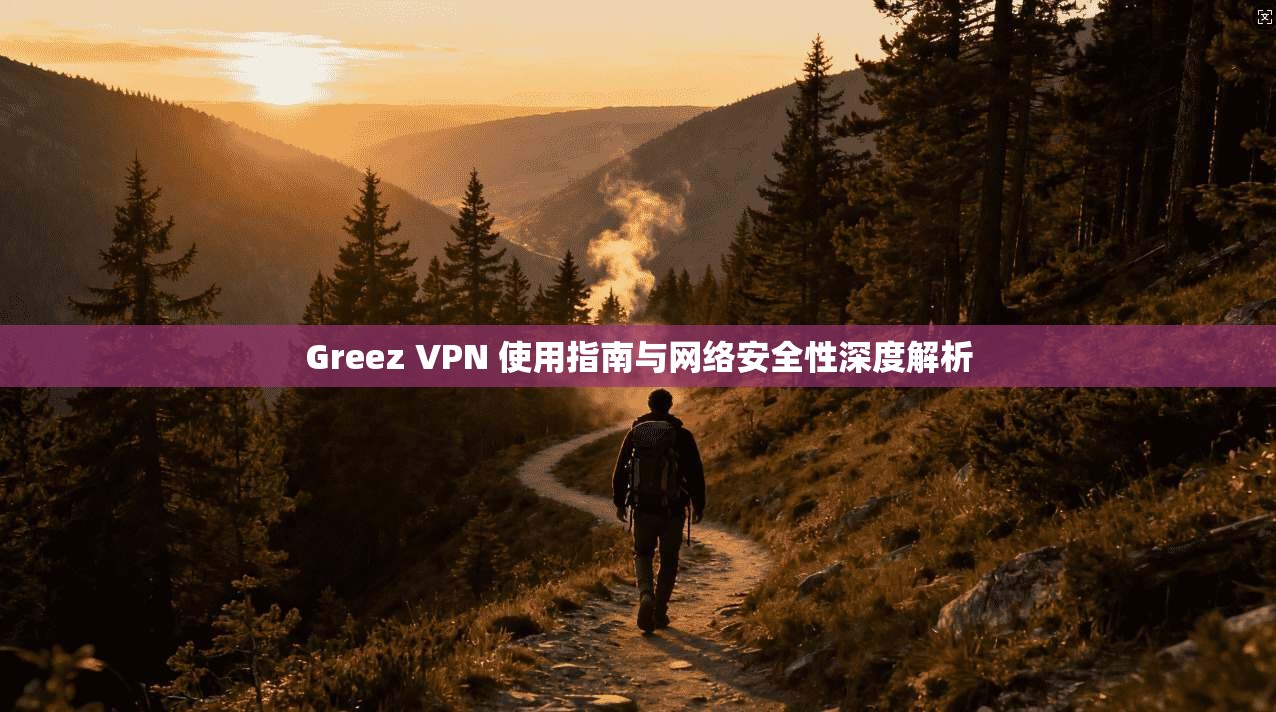 Greez VPN 使用指南与网络安全性深度解析
