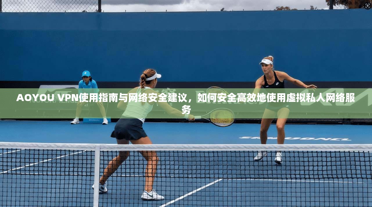 AOYOU VPN使用指南与网络安全建议，如何安全高效地使用虚拟私人网络服务
