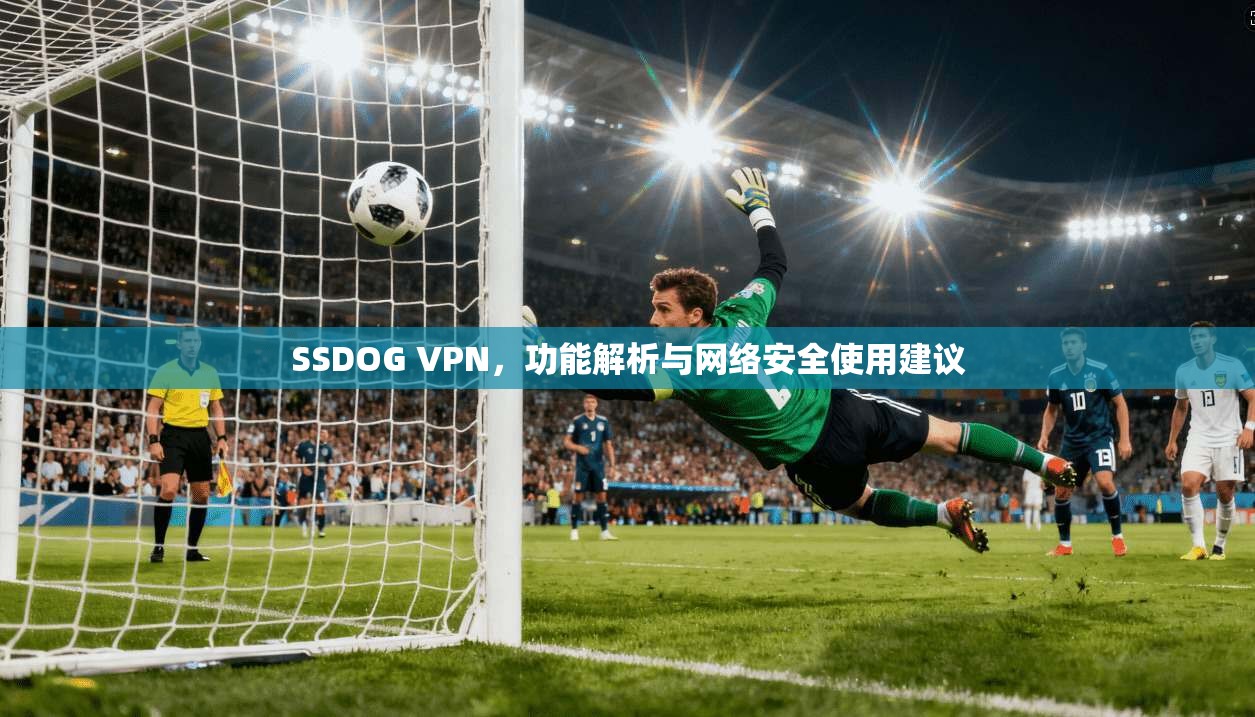 SSDOG VPN，功能解析与网络安全使用建议