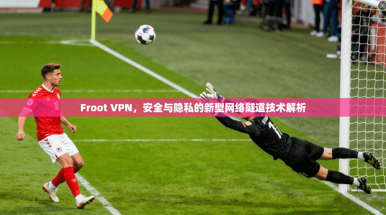 Froot VPN，安全与隐私的新型网络隧道技术解析