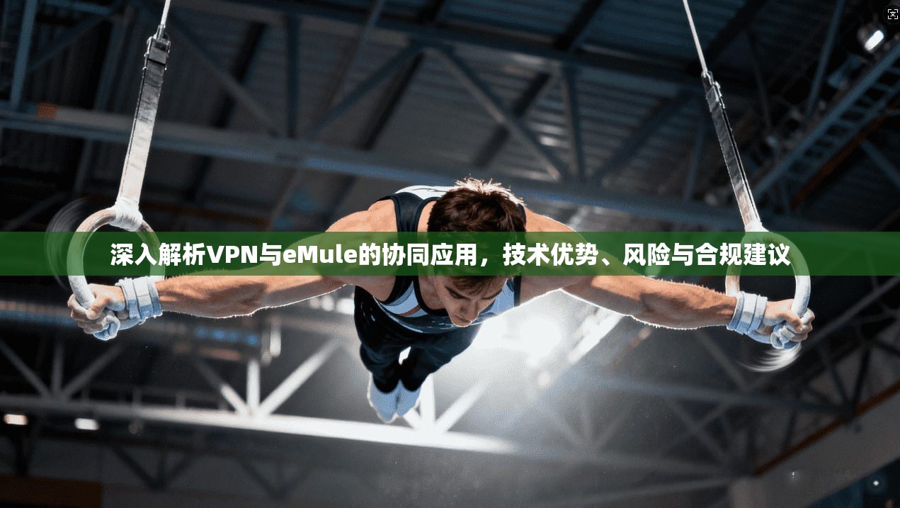 深入解析VPN与eMule的协同应用，技术优势、风险与合规建议