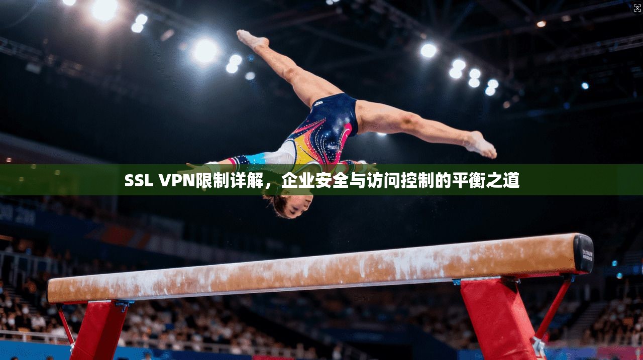 SSL VPN限制详解，企业安全与访问控制的平衡之道