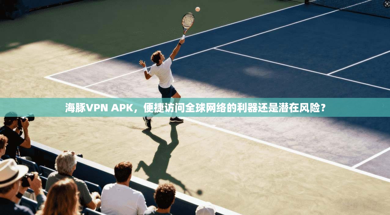 海豚VPN APK，便捷访问全球网络的利器还是潜在风险？
