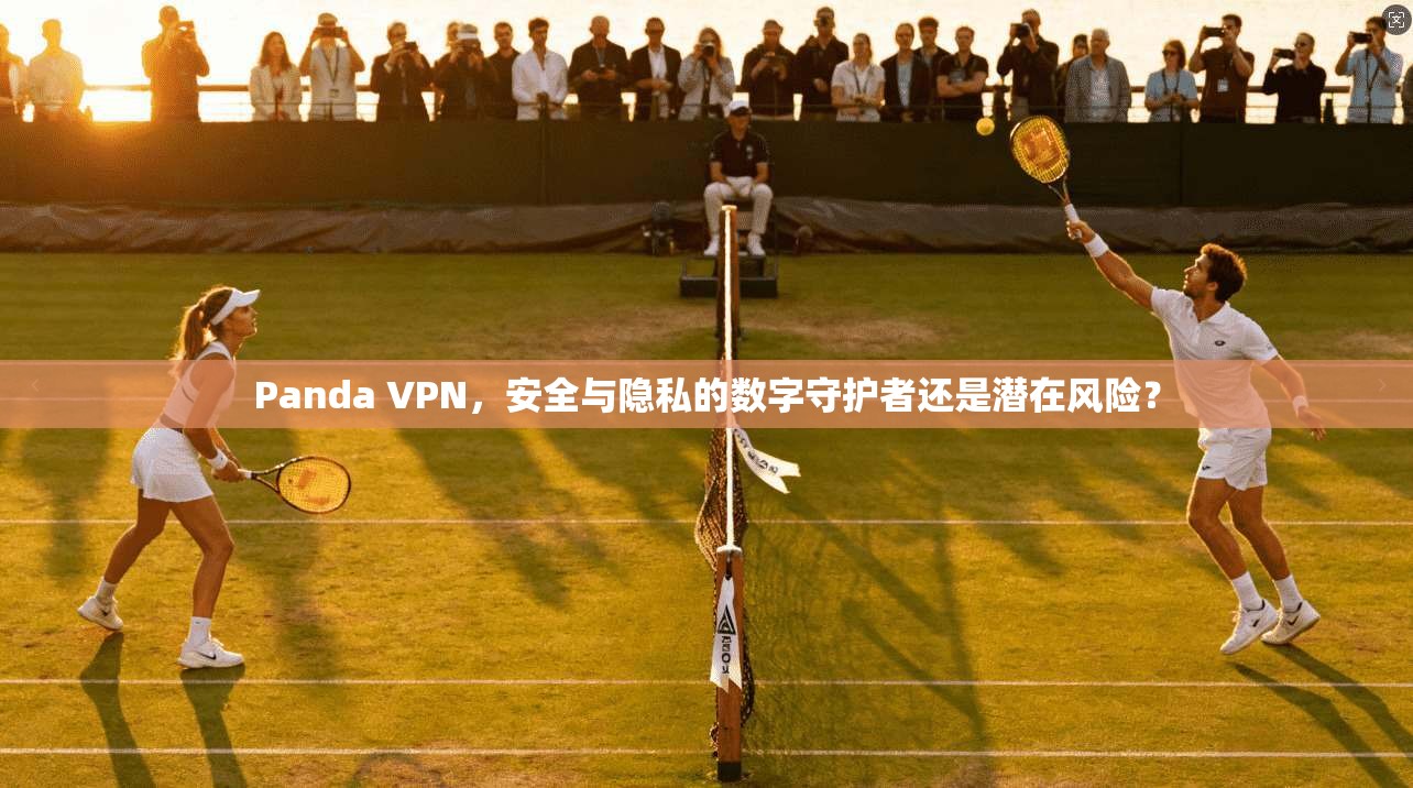 Panda VPN，安全与隐私的数字守护者还是潜在风险？