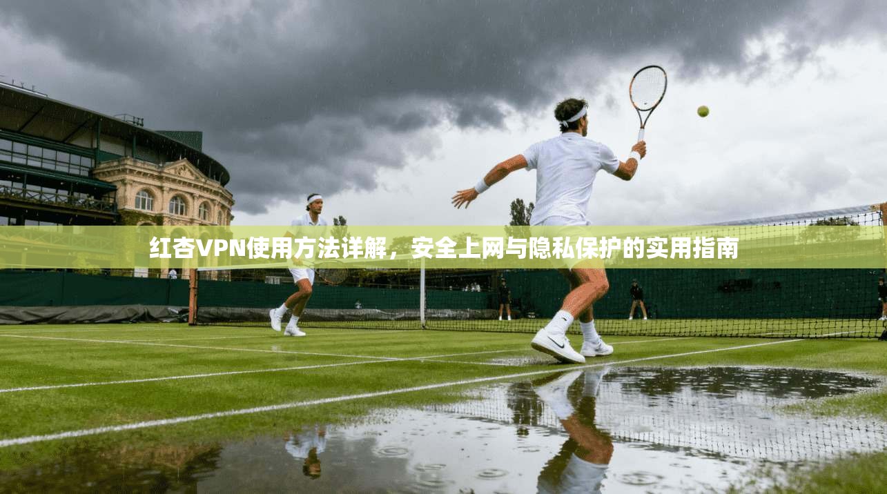 红杏VPN使用方法详解，安全上网与隐私保护的实用指南