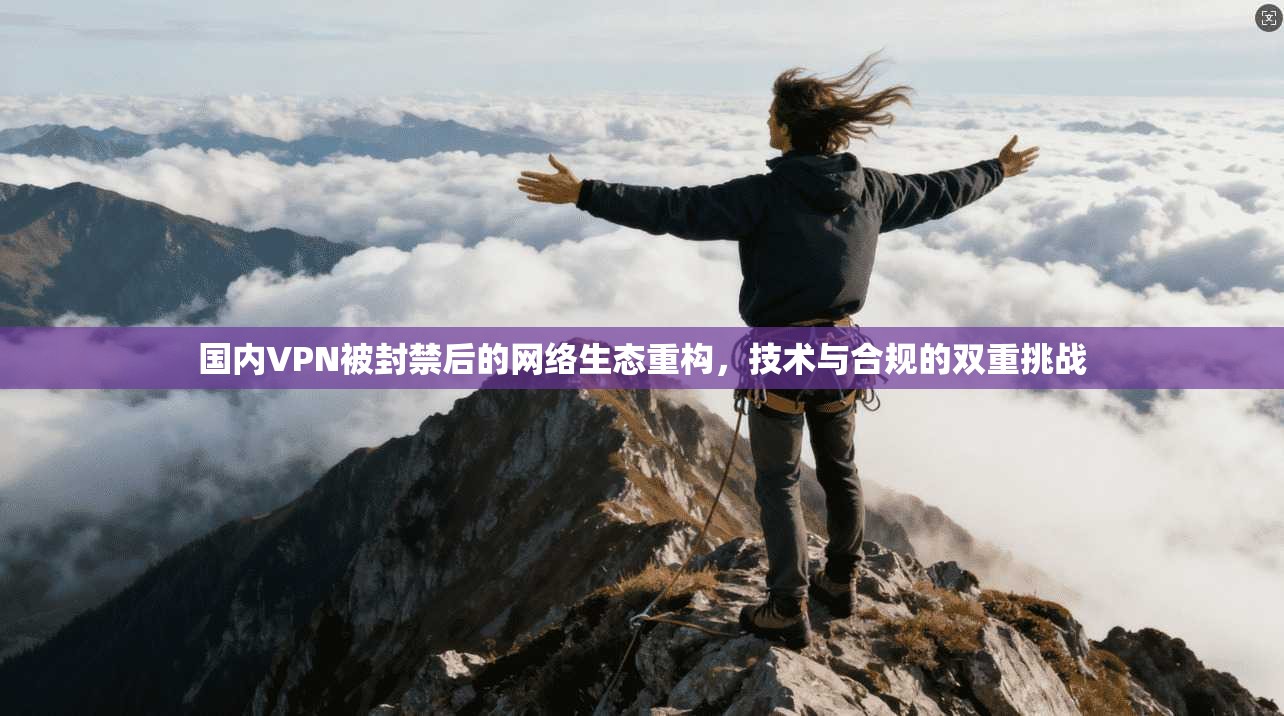 国内VPN被封禁后的网络生态重构，技术与合规的双重挑战