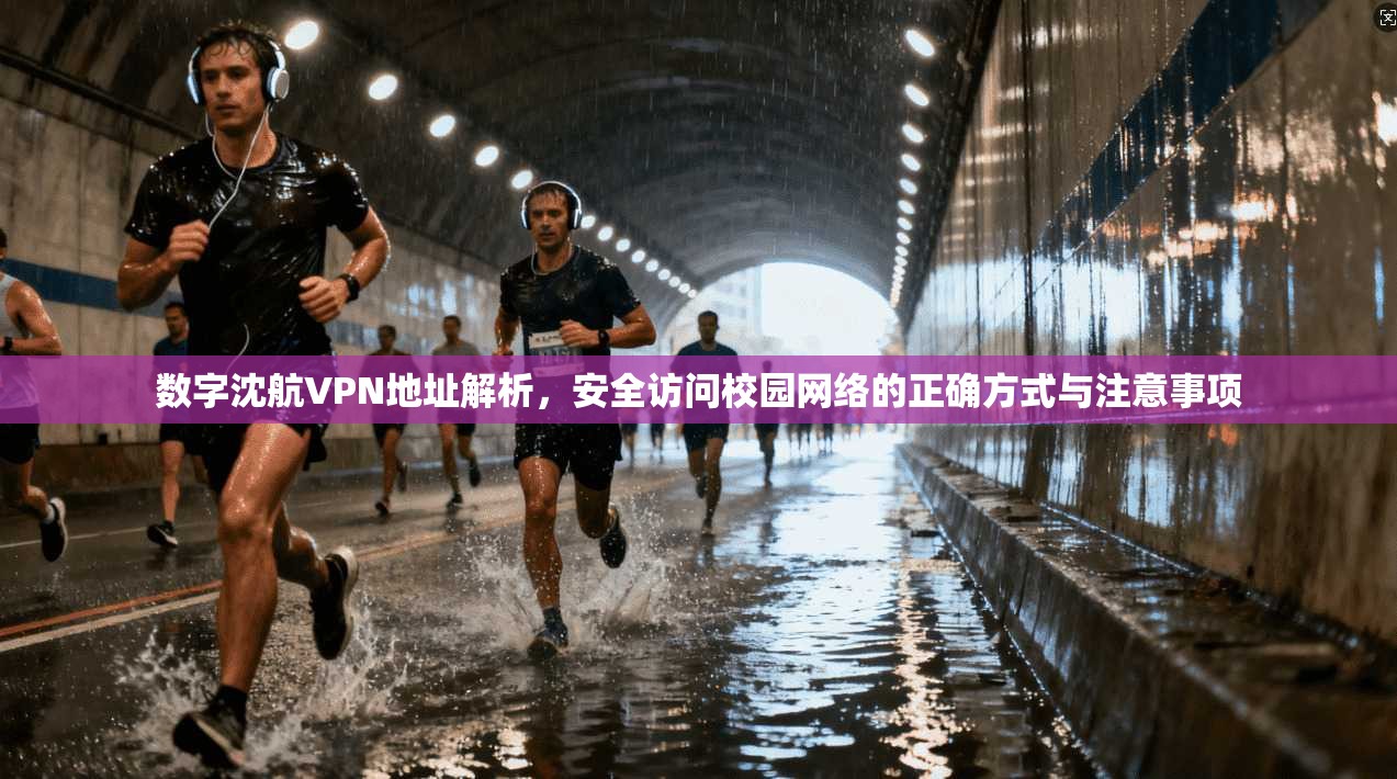 数字沈航VPN地址解析，安全访问校园网络的正确方式与注意事项