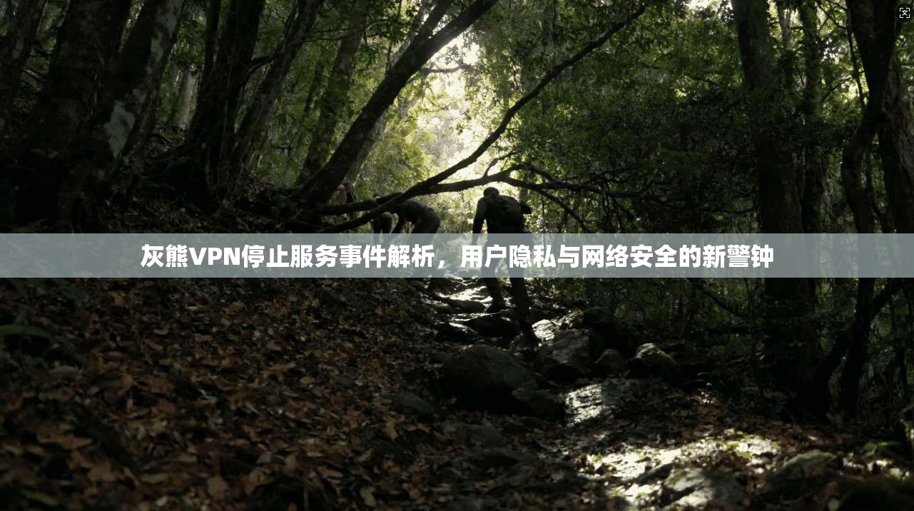 灰熊VPN停止服务事件解析，用户隐私与网络安全的新警钟