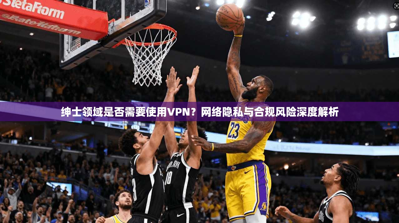 绅士领域是否需要使用VPN？网络隐私与合规风险深度解析