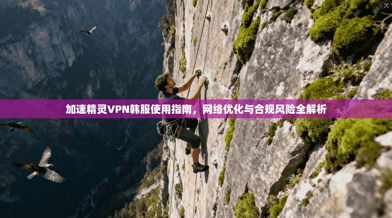 加速精灵VPN韩服使用指南，网络优化与合规风险全解析