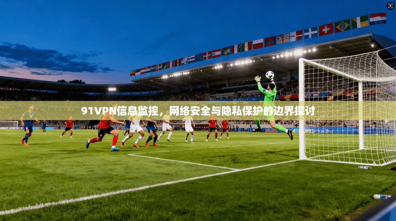 91VPN信息监控，网络安全与隐私保护的边界探讨