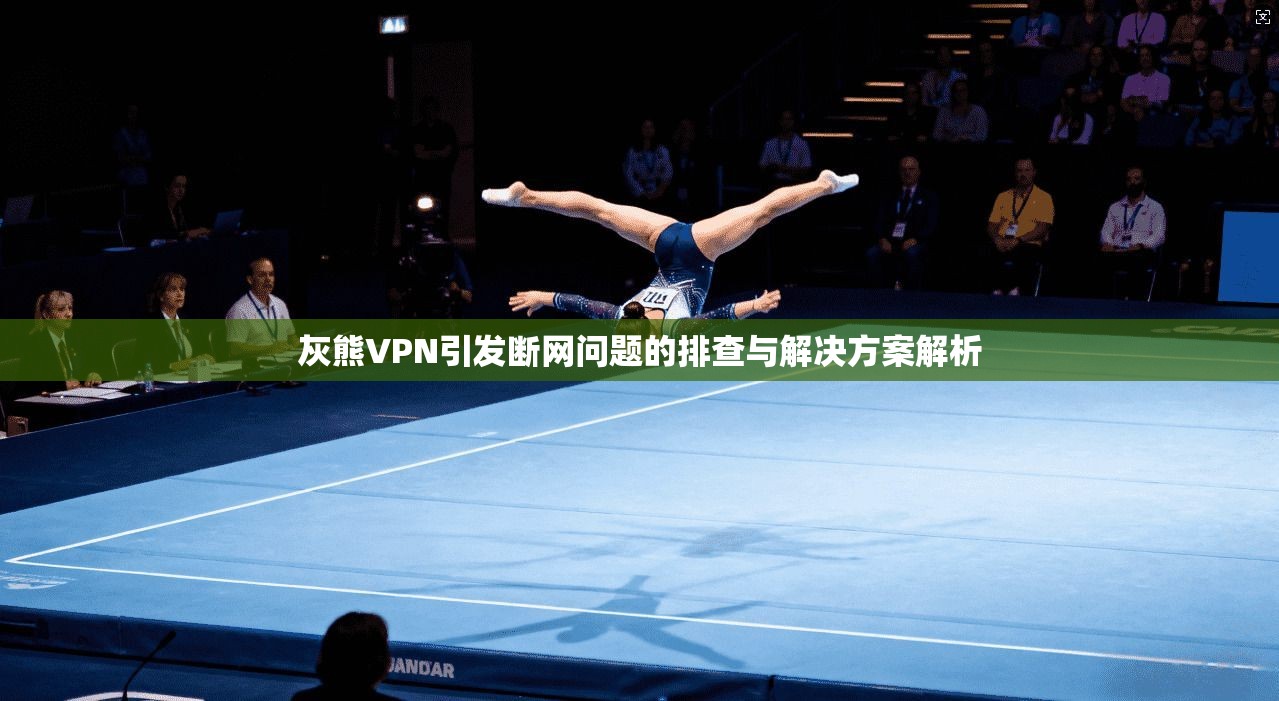 灰熊VPN引发断网问题的排查与解决方案解析