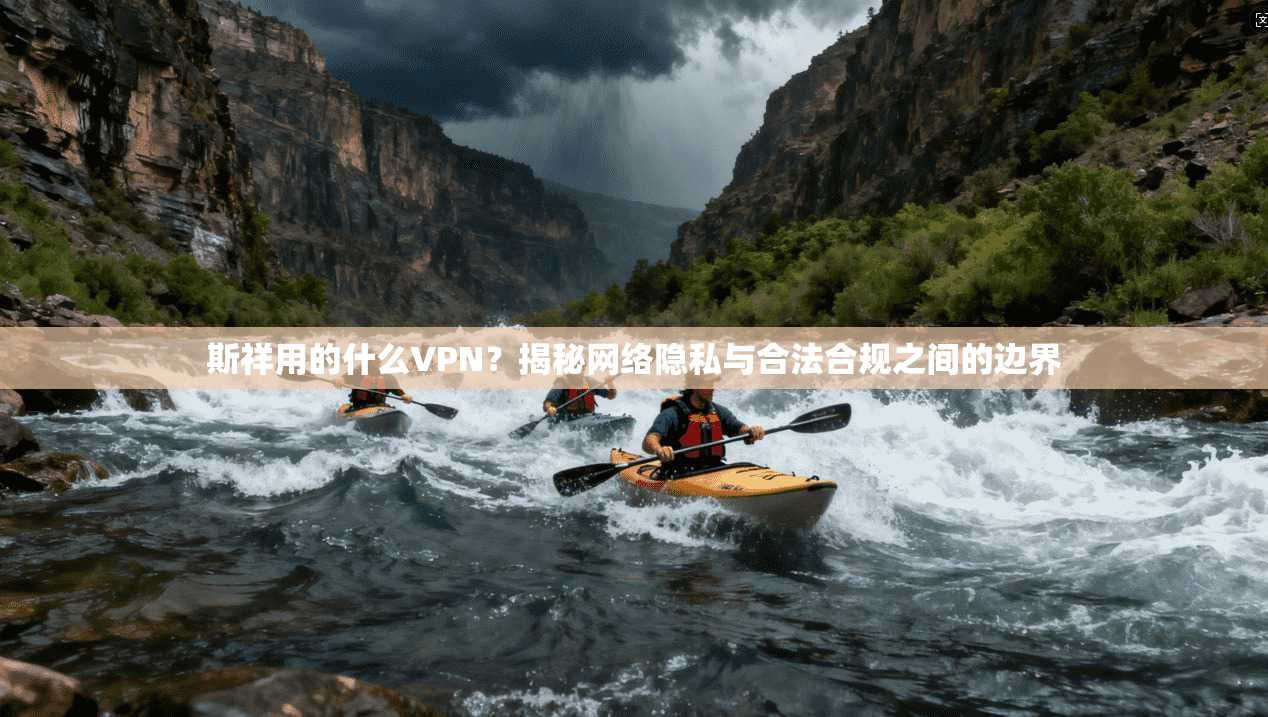 斯祥用的什么VPN？揭秘网络隐私与合法合规之间的边界