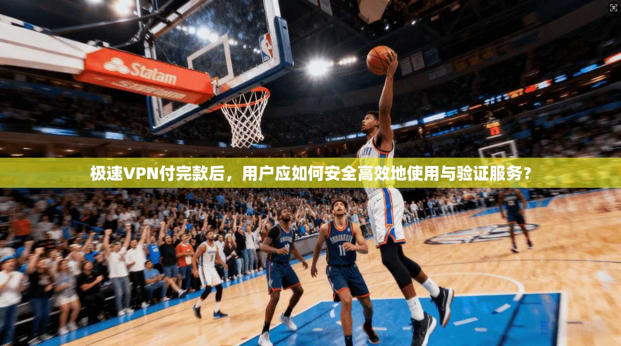 极速VPN付完款后，用户应如何安全高效地使用与验证服务？