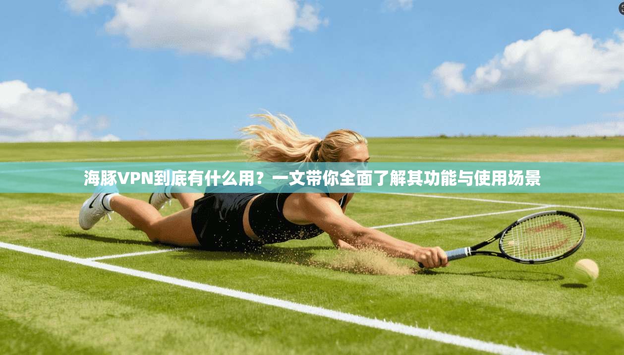 海豚VPN到底有什么用？一文带你全面了解其功能与使用场景