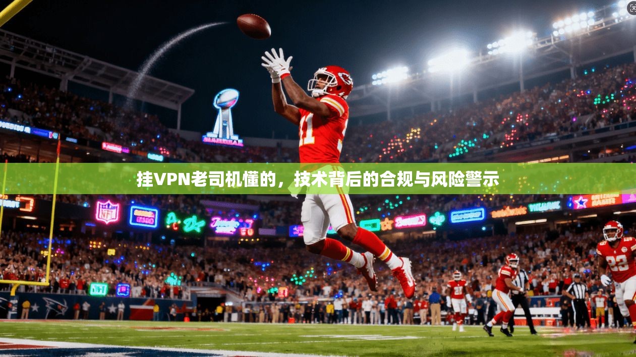 挂VPN老司机懂的，技术背后的合规与风险警示