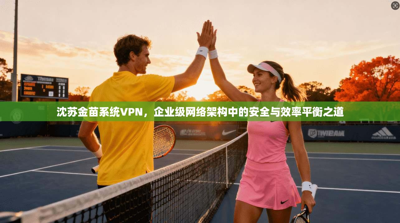 沈苏金苗系统VPN，企业级网络架构中的安全与效率平衡之道