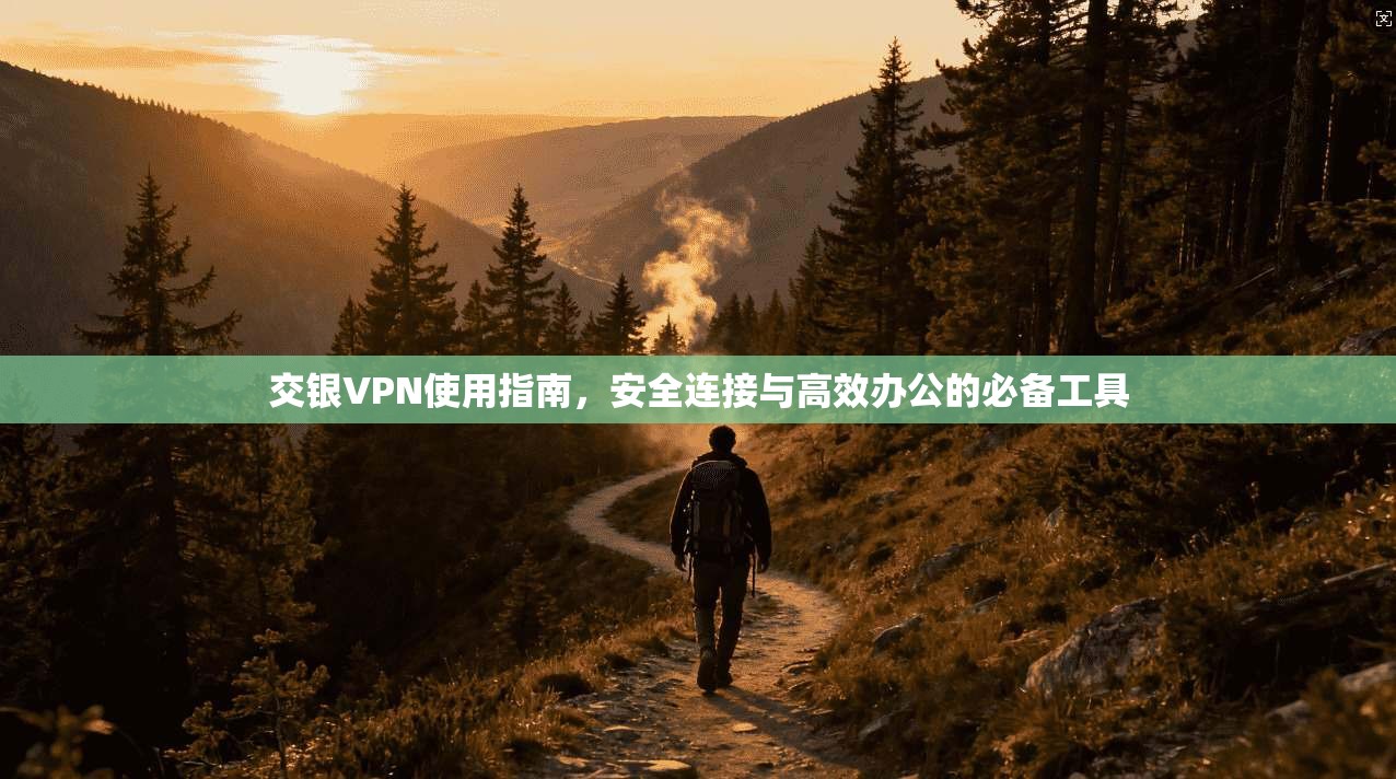 交银VPN使用指南，安全连接与高效办公的必备工具