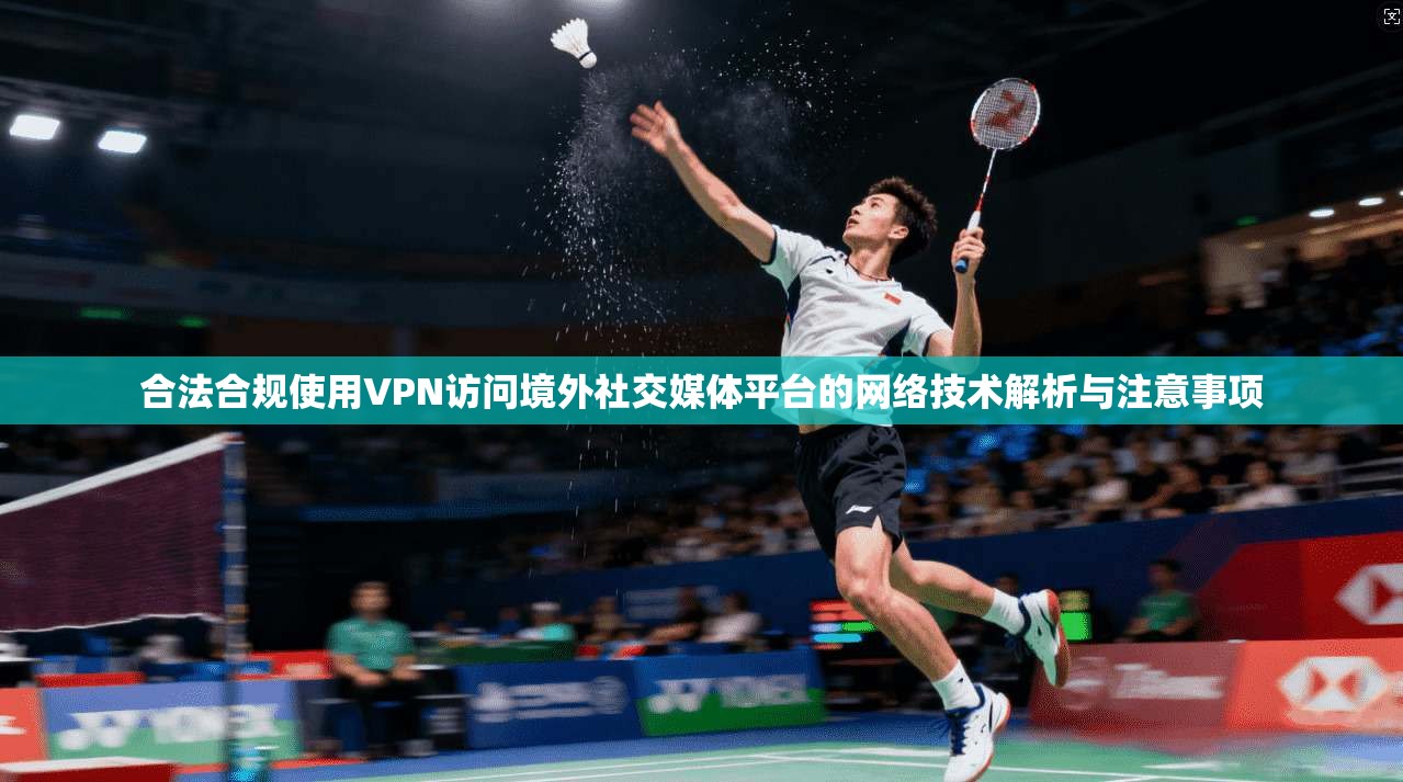 合法合规使用VPN访问境外社交媒体平台的网络技术解析与注意事项