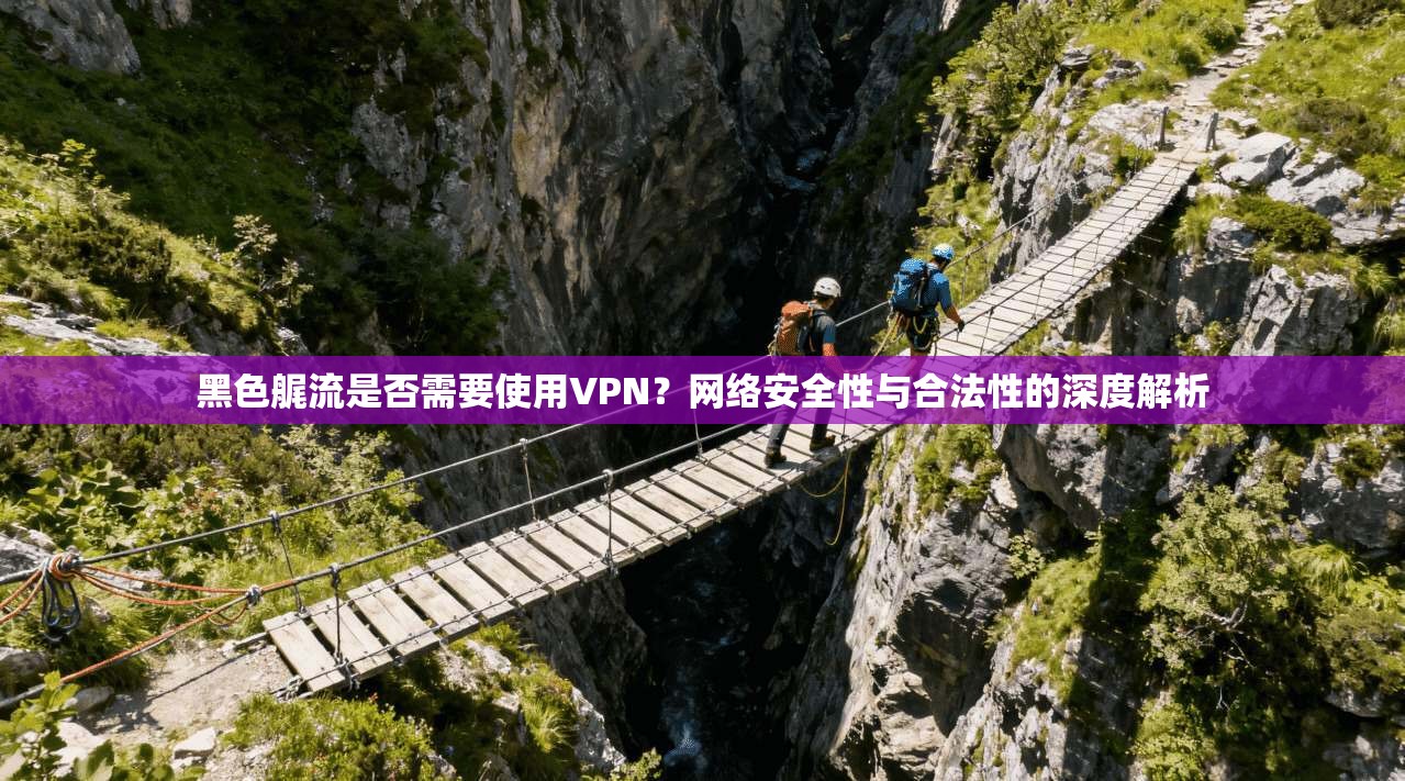 黑色艉流是否需要使用VPN？网络安全性与合法性的深度解析