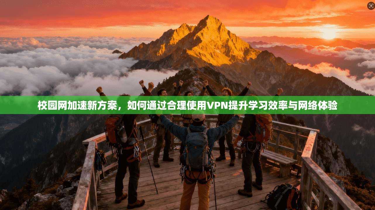 校园网加速新方案，如何通过合理使用VPN提升学习效率与网络体验