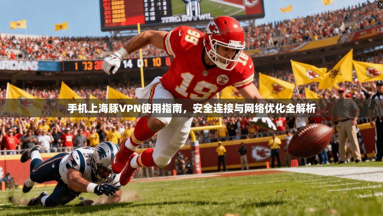 手机上海豚VPN使用指南，安全连接与网络优化全解析