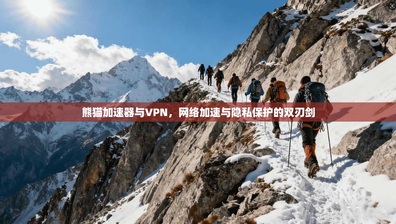 熊猫加速器与VPN，网络加速与隐私保护的双刃剑
